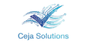ceja solutions logo cropped removebg preview